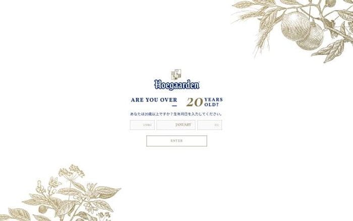 Hoegaarden website preview