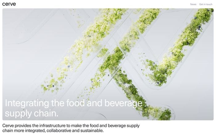 Cerve website preview