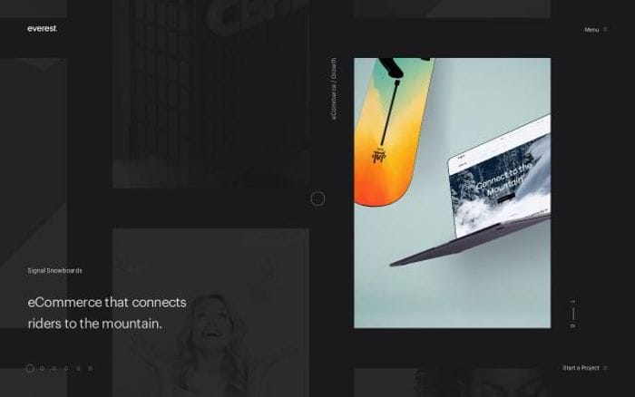 Everest website preview