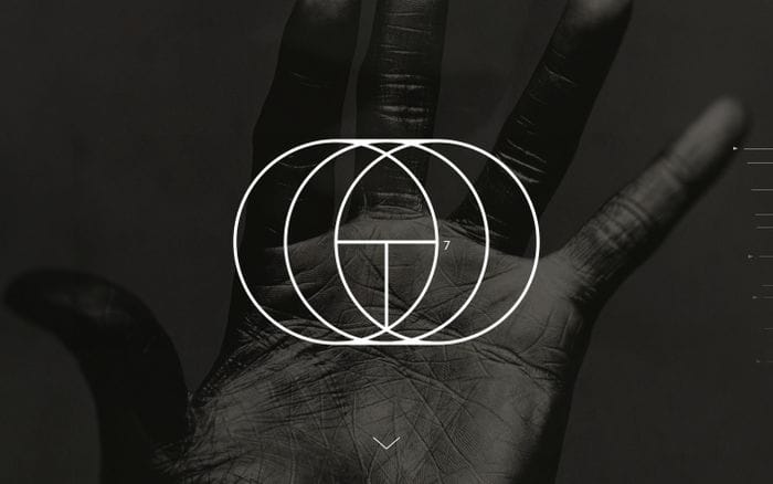 TRIBE7 website preview