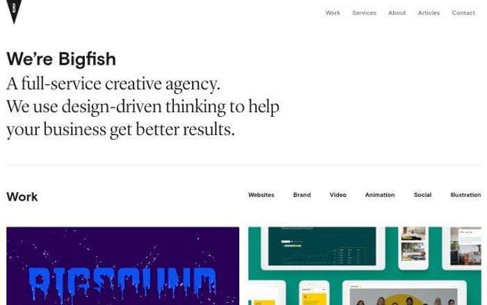 Bigfish website preview