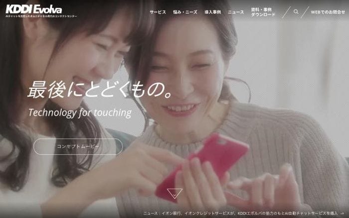 Www website preview