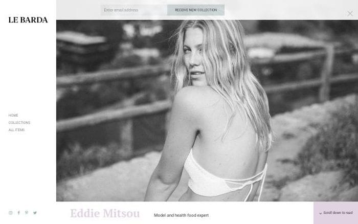 Lebarda website preview