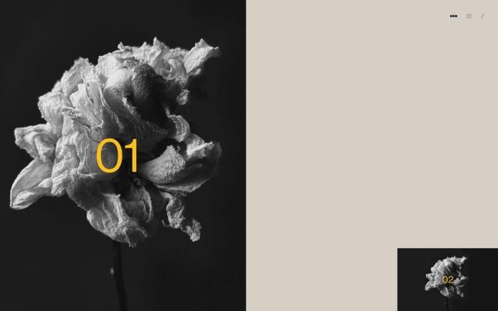 Book of Flowers website preview