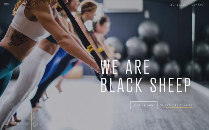 Blacksheepstudiosnj website preview