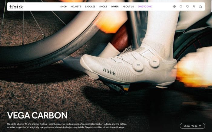 Fizik website preview
