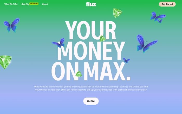 Fluz website preview