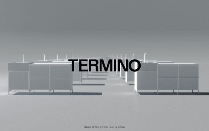 Termino website preview