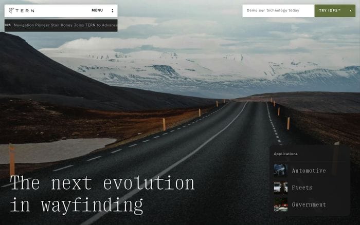 Tern website preview