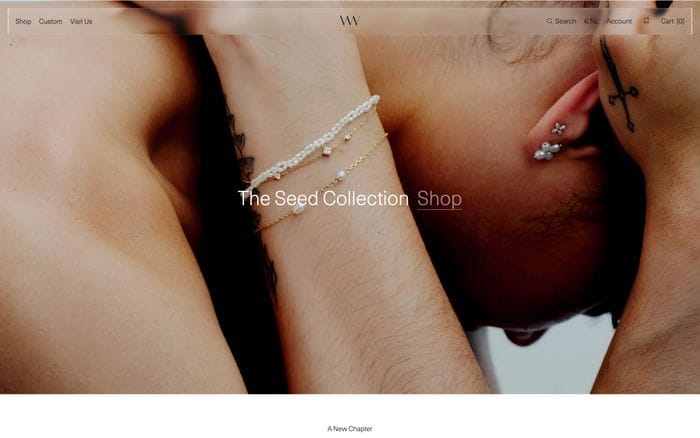 Wwake website preview
