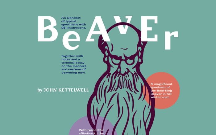 Beaver website preview