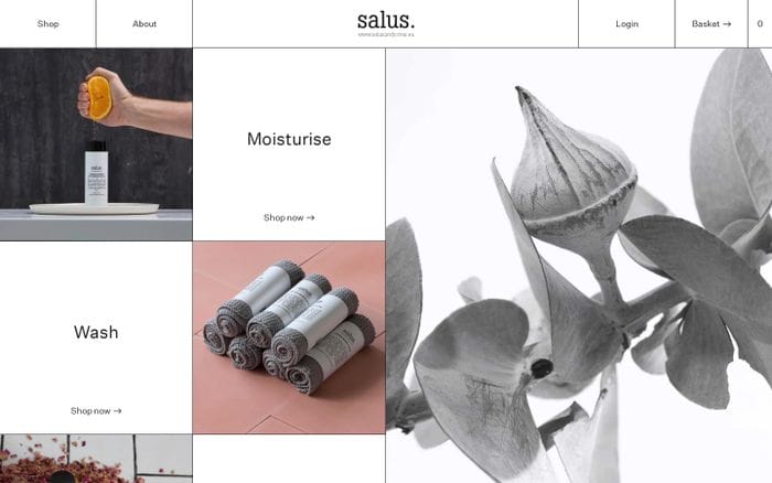 Salus Body website preview