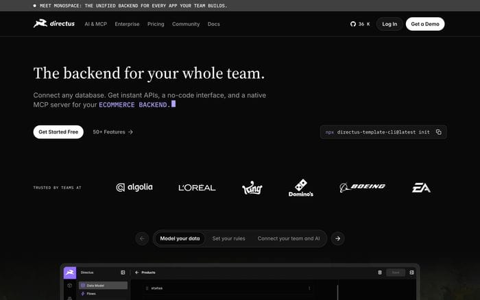 Directus website preview