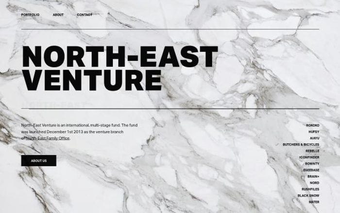North-east-venture website preview