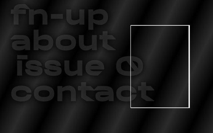 Fn-up website preview
