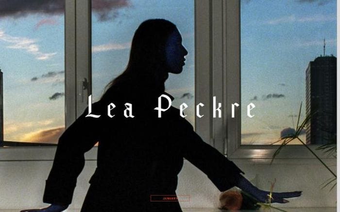 Leapeckre website preview
