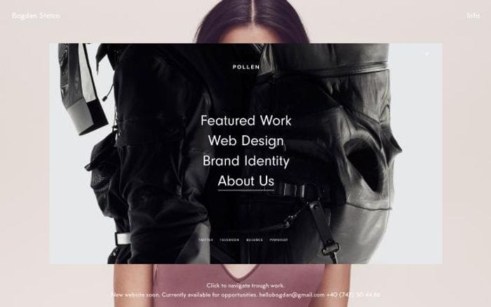 Stetcobogdan website preview