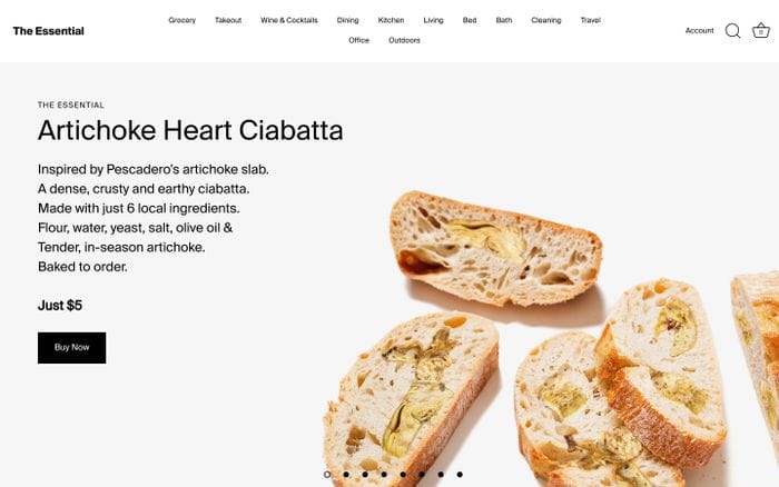 The Essential website preview