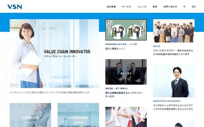 Vsn website preview