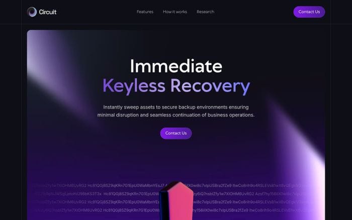 Circuit Security website preview