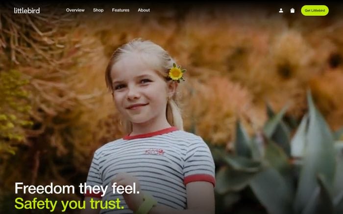Littlebird website preview