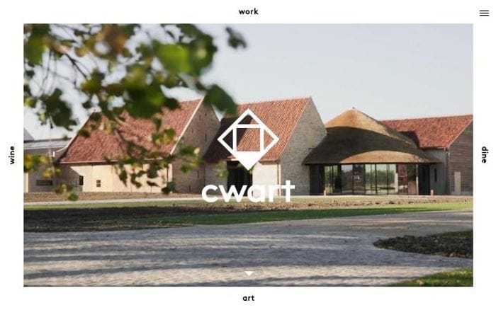 Cwart website preview