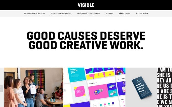 VISIBLE website preview