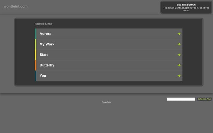  website preview