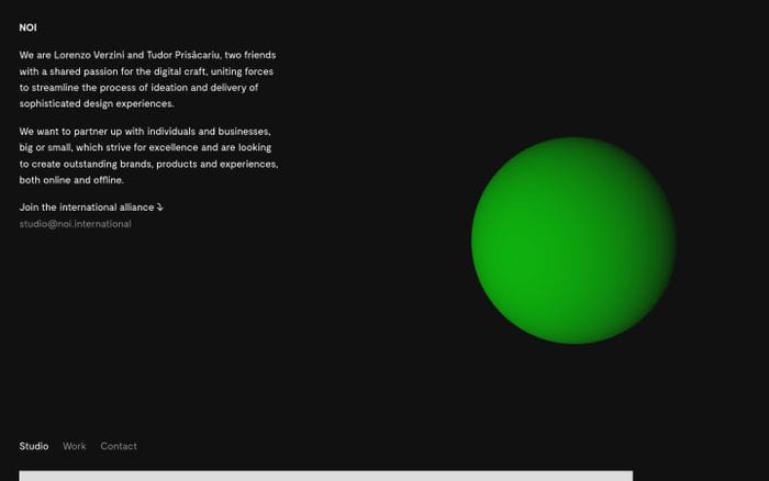 Noi website preview