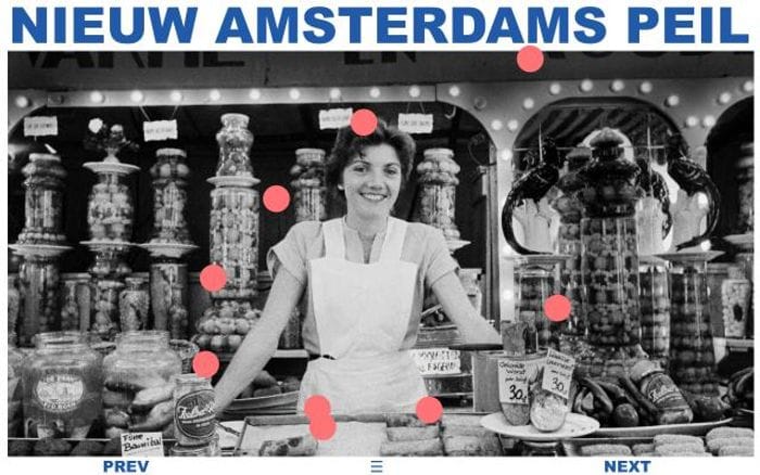 Nap-amsterdam website preview