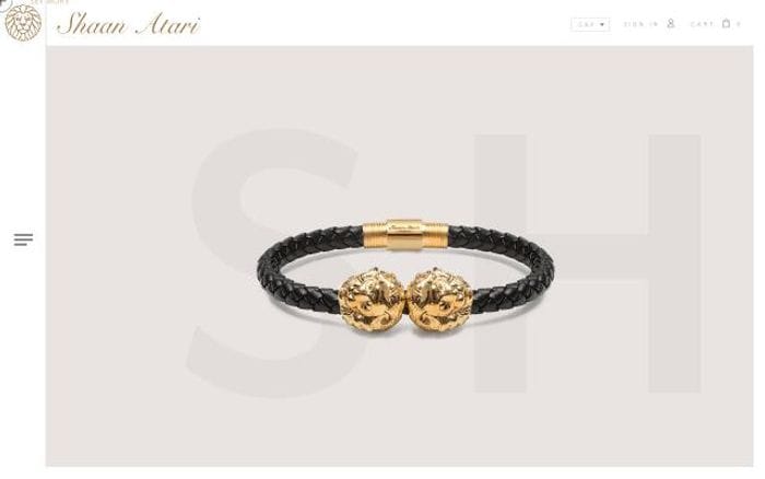 Shaanatari website preview