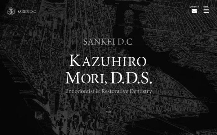 Sankeidc website preview