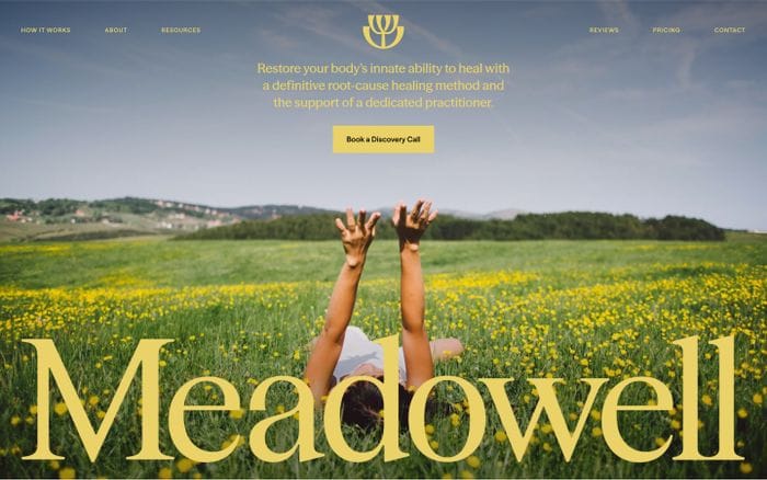 Meadowell website preview