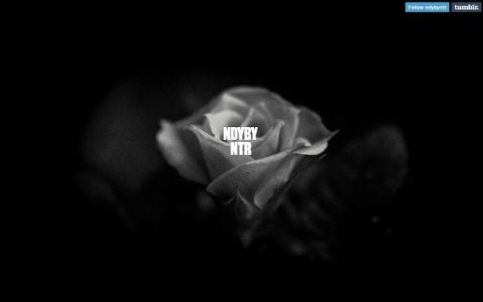 Ndybyntr website preview