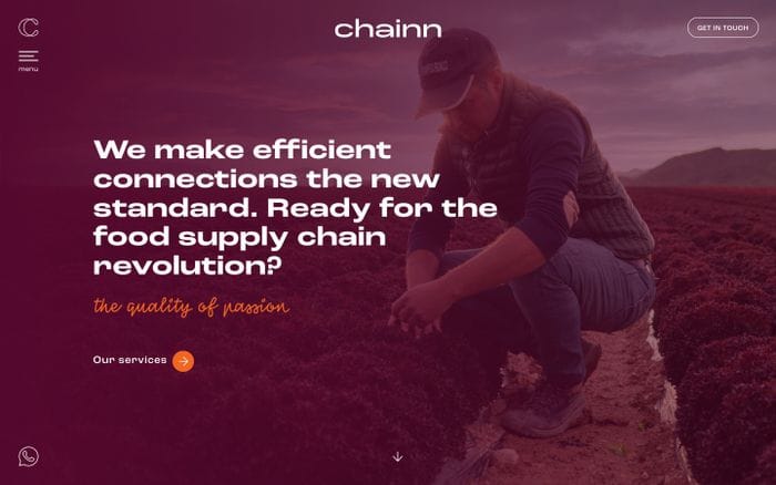 Chainn website preview