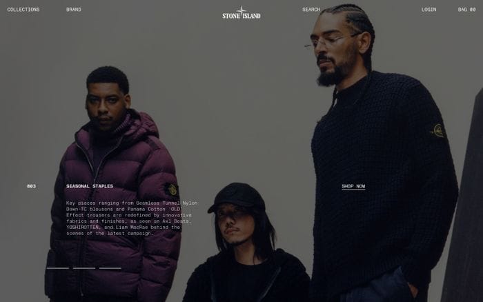 Stone Island website preview