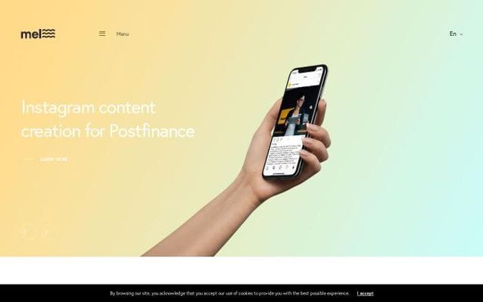 Melriver website preview