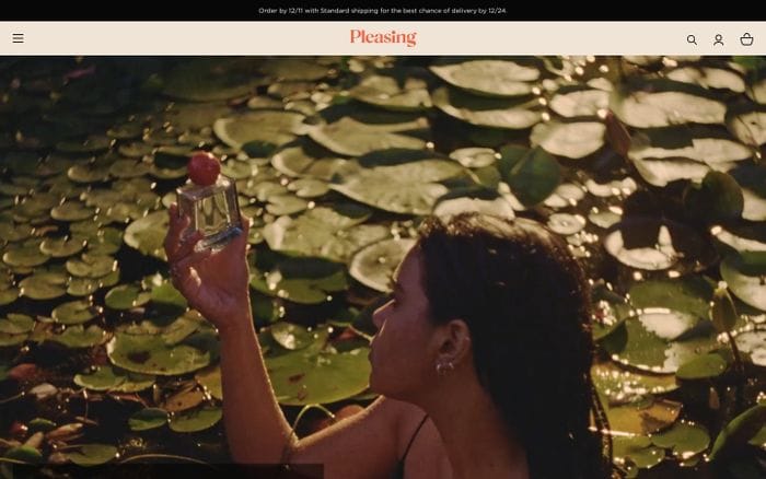Pleasing website preview