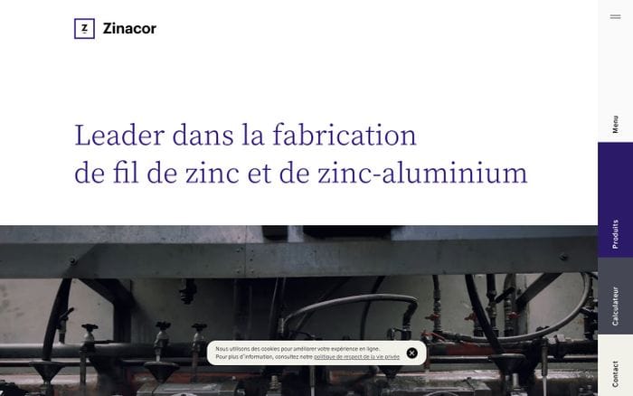 Zinacor website preview