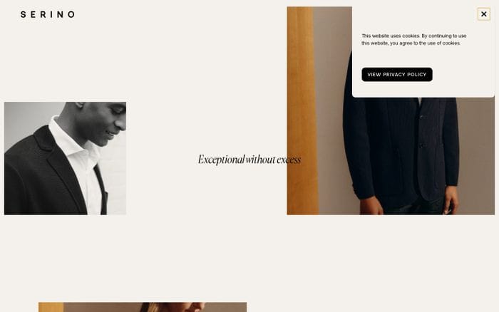 Serino website preview