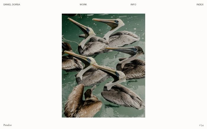Daniel Dorsa website preview