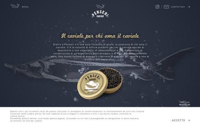 Penseri website preview