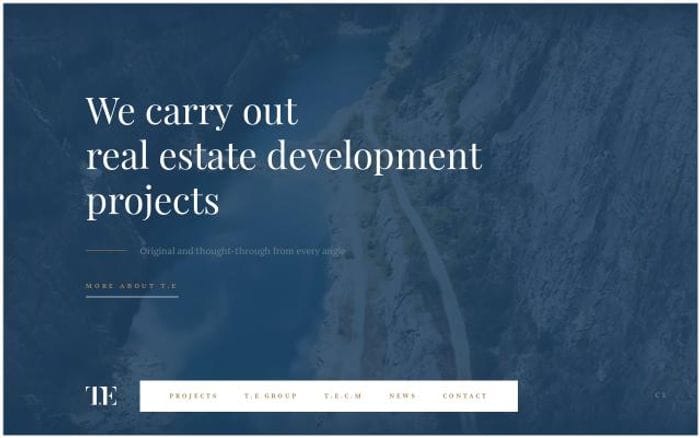 T-e website preview