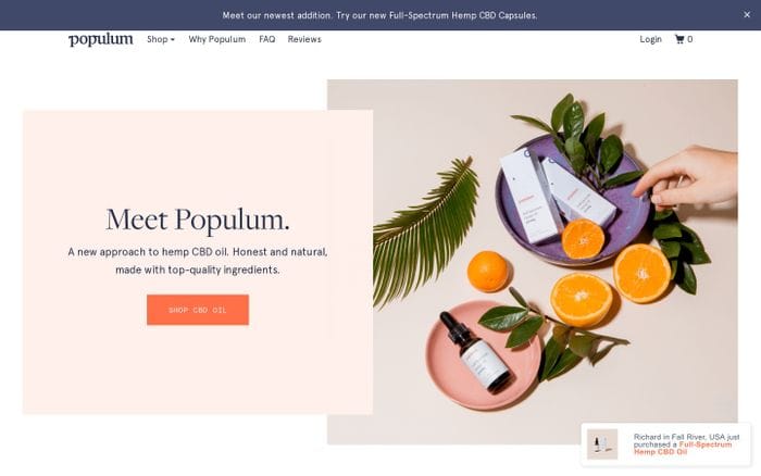 Populum website preview