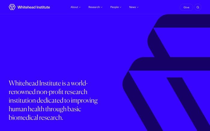 Whitehead Institute website preview