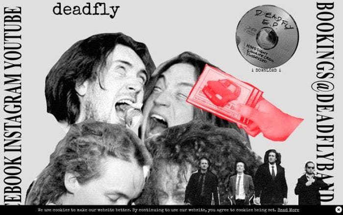 Deadflyband website preview
