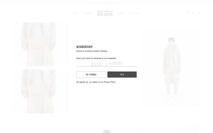 Reign website preview