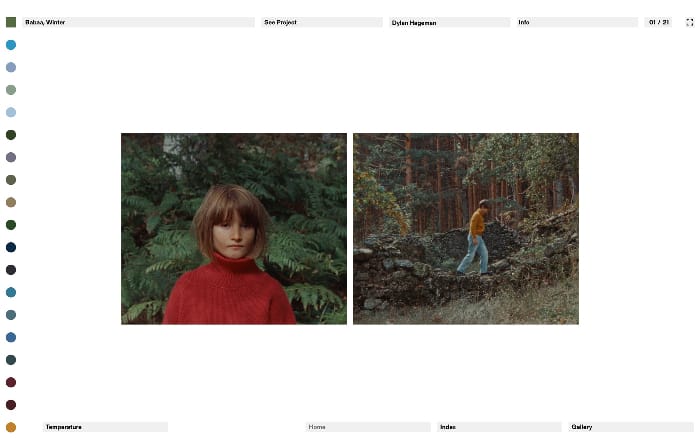 Dylan Hageman  Colorist website preview