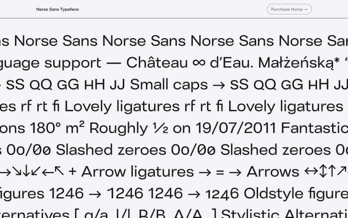 Norse Sans website preview