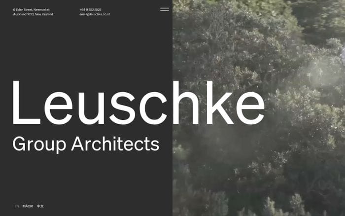 Leuschke Group Architects website preview